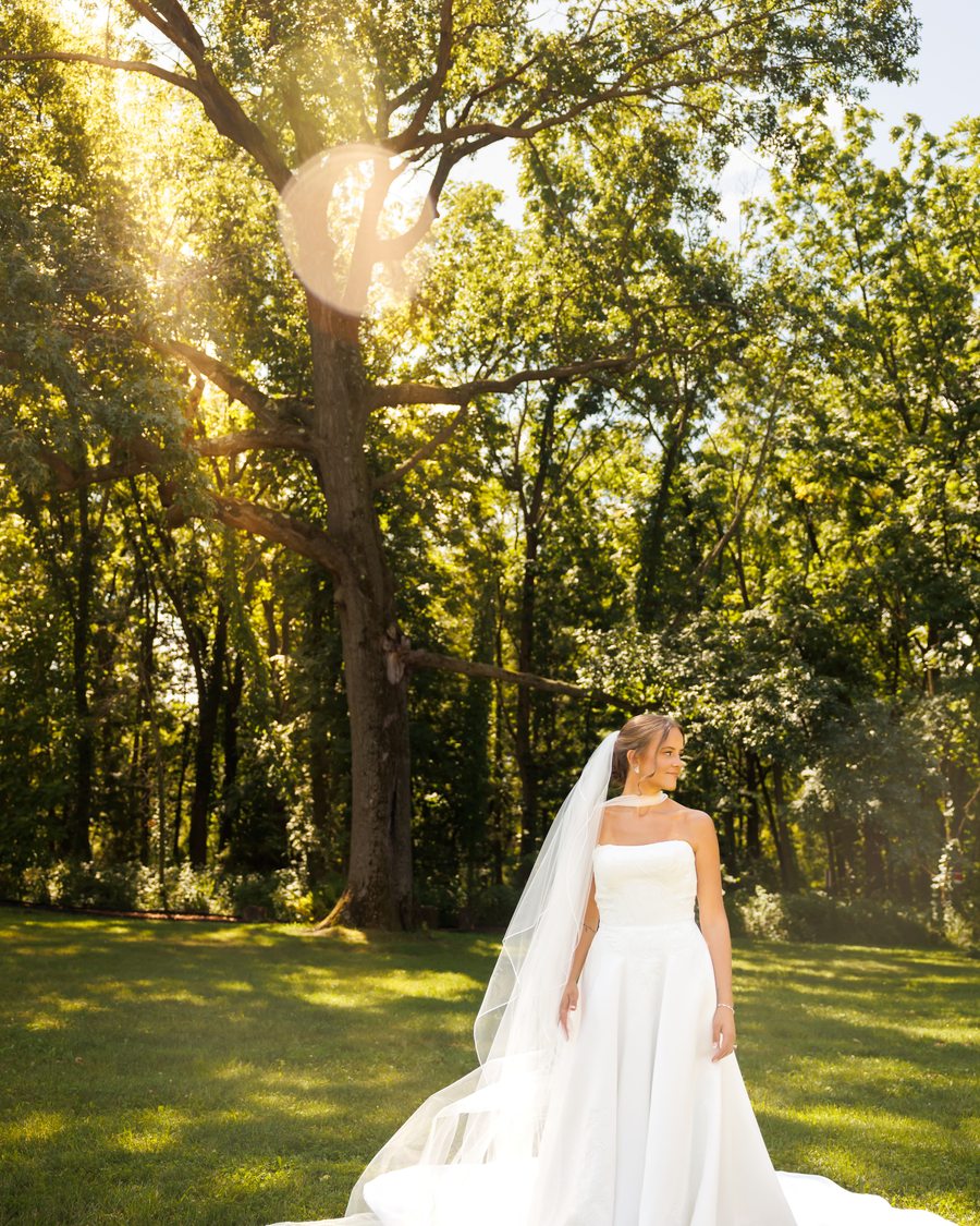 A bride walking beneath a great tree as the sun breaks through